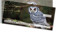 Click on Owl  For More Details