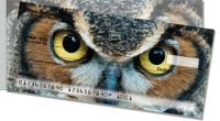 Click on Eyes of an Owl  For More Details