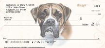Boxer Dog Checks