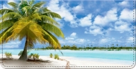 Tropical Paradise Checkbook Cover
