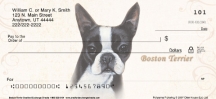 Boston Terrier Dog Checks