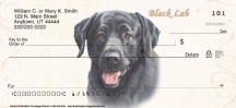 Black Labrador Dog Personal Checks