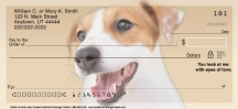 Faithful Friends - Jack Russell Terrier Dog Checks
