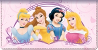 Disney Princess Dreams Leather Checkbook Cover