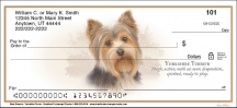 Best Breeds - Yorkshire Terrier  Checks