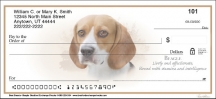 Best Breeds - Beagle  Checks