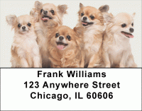 Lovable Chihuahuas Address Labels