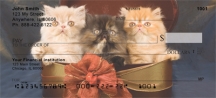 Persian Kittens Checks