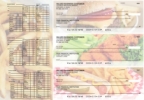 American Cuisine Payroll Designer Business Checks