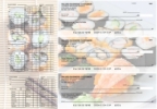 Japanese Cuisine Payroll Designer Business Checks