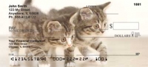 Cute Kittens Top Tear Checks