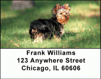 Yorkshire Terriers Address Labels