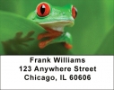 More Tree Frogs Address Labels