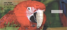 Parrot - Macaws Up Close  Personal Checks