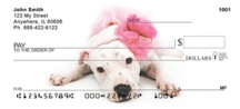 Pit Bull Puppies  - Puppy Personal Checks