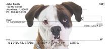 Boxer Puppies  - Boxer Personal Checks