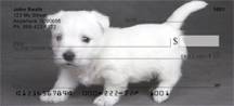 Westie - West Highland Terrier Puppies  Checks