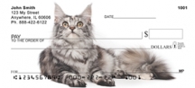 Maine Coon Cats Resting Checks