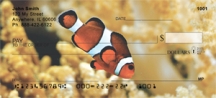 Clown Fish  - Fish Checks
