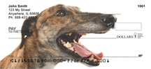Greyhound - Greyhounds  Personal Checks