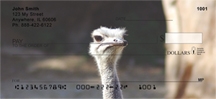 Ostrich - Ostriches  Personal Checks