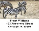 Zebra Labels - Zebras Address Labels