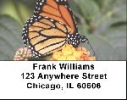 Monarch Butterflies Address Labels