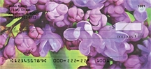Lilac Chris in Oil  - Chris Lilacs Checks