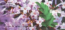 Lilac Cutleaf in Oil  - Cutleaf Lilacs Checks