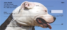 Pit Bull - Pit Bulls Again  Personal Checks