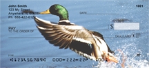 Duck - Mallard Ducks  Checks