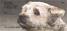 Cairn Terrier - Cairn Terrier  Personal Checks