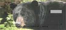 Black Bear - Black Bears  Checks