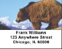 Grizzly Bear Checks - Grizzly Bears Address Labels