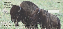 Bison - Buffalo  Personal Checks