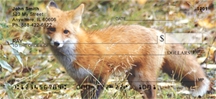 Fox - Red Fox  Personal Checks