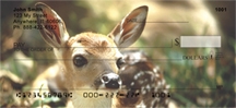 Deer - Deer Fawn  Personal Checks