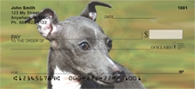 Italian Greyhound - Italian Greyhounds  Personal Checks