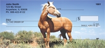 Mustang Horses  Checks