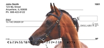 Arabian Horse  - Arabian Horses Checks