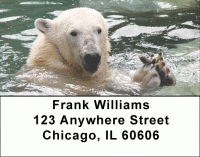 Polar Bears in the Water Address Labels