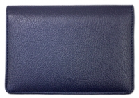 Blue Leather  Cover
