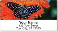 Butterfly & Moth Address Labels