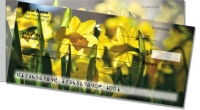 Click on Golden Daffodil  For More Details