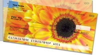 Click on Gerber Daisy  For More Details