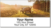 Hog Heaven Address Labels