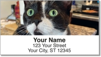 Pet Cat Address Labels