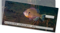 Click on Bluegill  For More Details