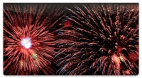 4th of July Fireworks Checkbook Cover