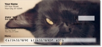 Black Cats Playing Personal Checks